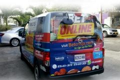 Vehicle Graphics 4